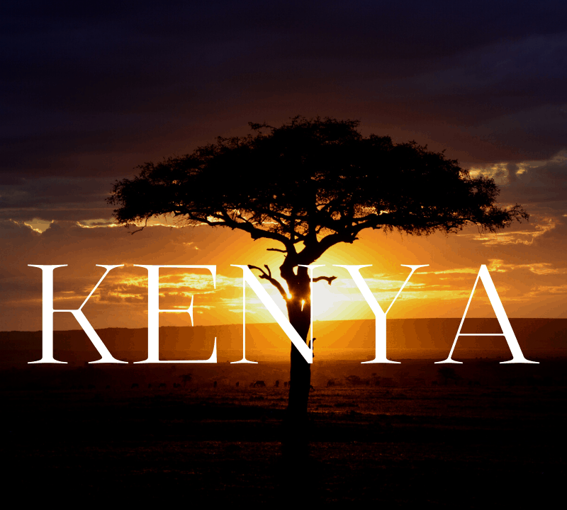 An expedition to Kenya's Maasai Mara